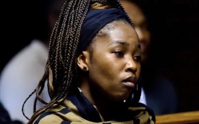 What is the story concerning Brigadier Dineo Mokwele?